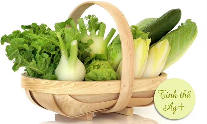 Tủ lạnh Toshiba GR-WG58VDAZ (PGB) có ngăn rau quả tiện lợi