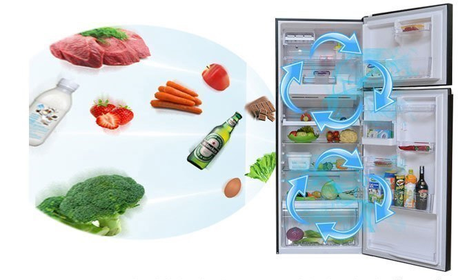 Tủ lạnh Toshiba GR-A28VU(UK) màu đen bảo quản thực phẩm tốt