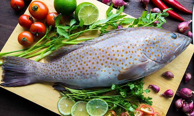 Tủ lạnh Samsung Inverter 256 lít RT25M4033S8/SV sở hữu công nghệ cấp đông mềm