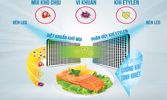 Tủ lạnh Toshiba 546 lít GR-WG58VDAZ xanh khử mùi