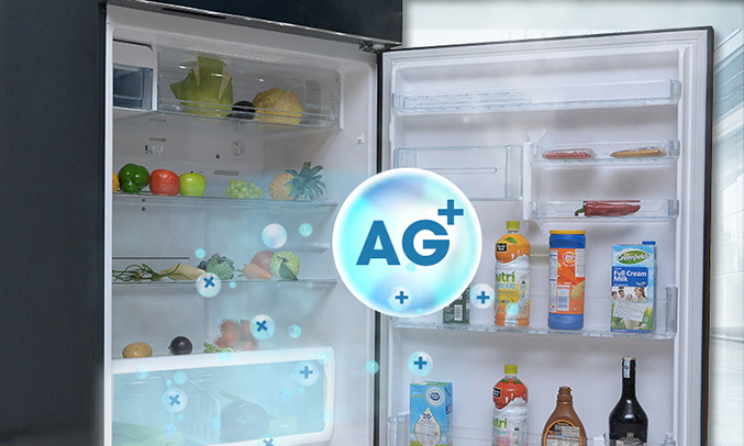 Tủ lạnh Toshiba 546 lít GR-WG58VDAZ kháng khuẩn