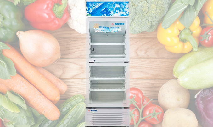 Tủ mát Alaska LC-433DB 300 lít thiết kế hiện đại