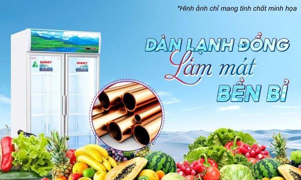 Tủ mát Sanaky 1100 lít VH-1209HP3 tiết kiệm điện