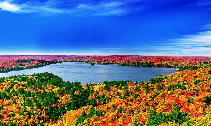 Smart Tivi LG 4K 55 inch 55UM7400PTA