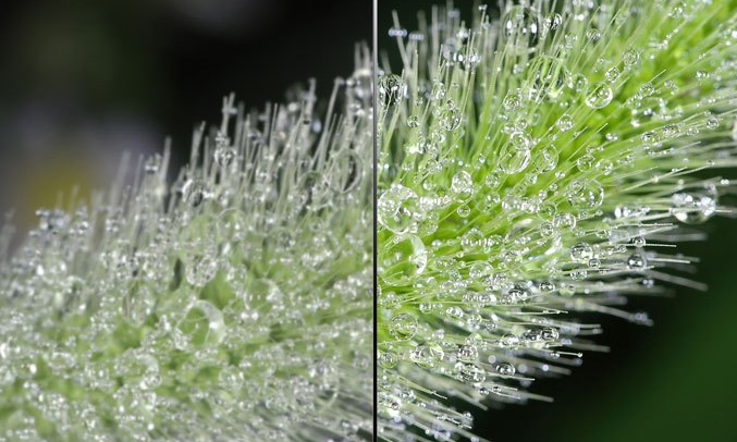 Tivi 4K 49inch LG 49UJ750T hình ảnh chất lượng cao