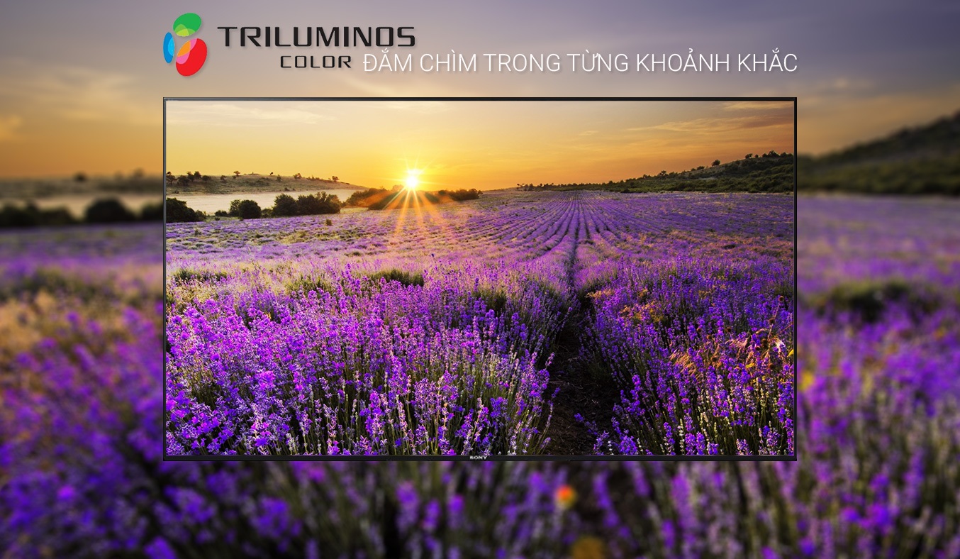 Tivi 4K Sony KD-75Z9D hình ảnh sống động