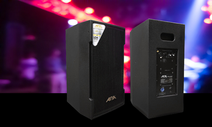 Loa Ana AH-12 - Trang bị đầy đủ kết nối