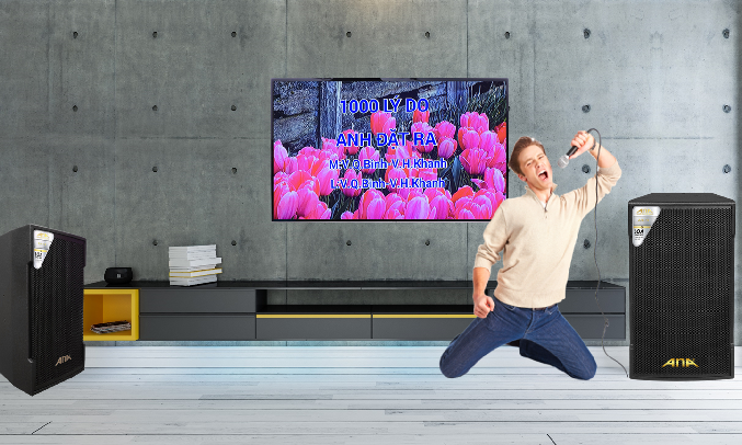 Loa Ana AH-12 - Tiện lợi khi sử dụng