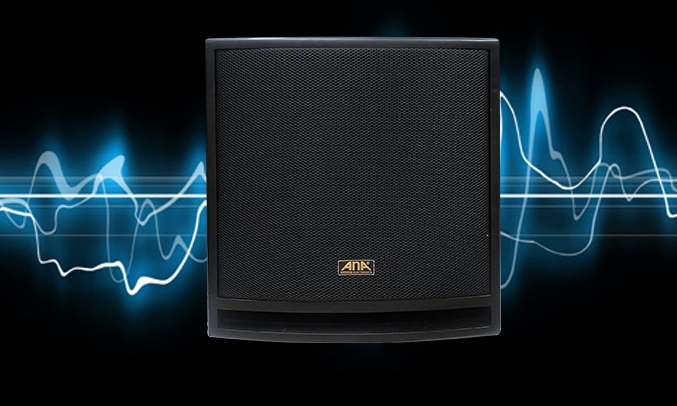 Loa ANA CT-12SA âm thanh sống động