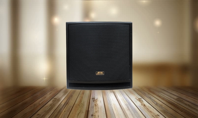 Loa ANA CT-12SA công suất lớn