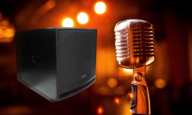 Loa ANA CT-12SA dễ dàng điều chỉnh