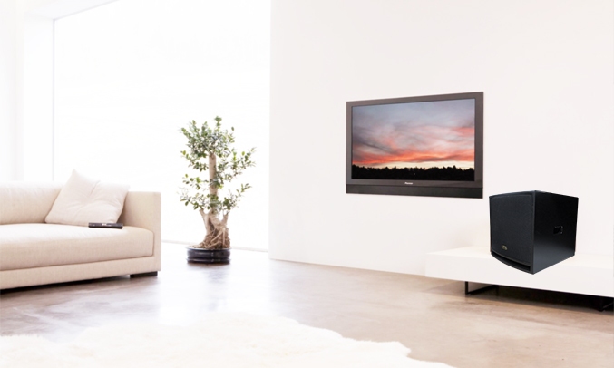 Loa ANA CT-12SA phù hợp nhiều không gian