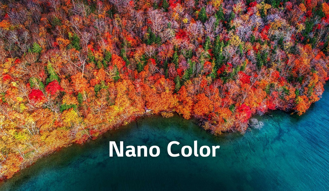 NanoCell Tivi LG 4K 65 inch 65SM8100PTA công nghệ Nanocell