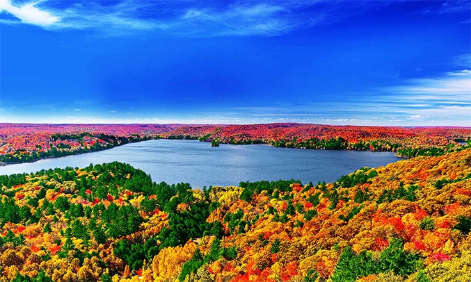 Tivi LED LG 43 inch 43UM7400PTA xử lý thông minh