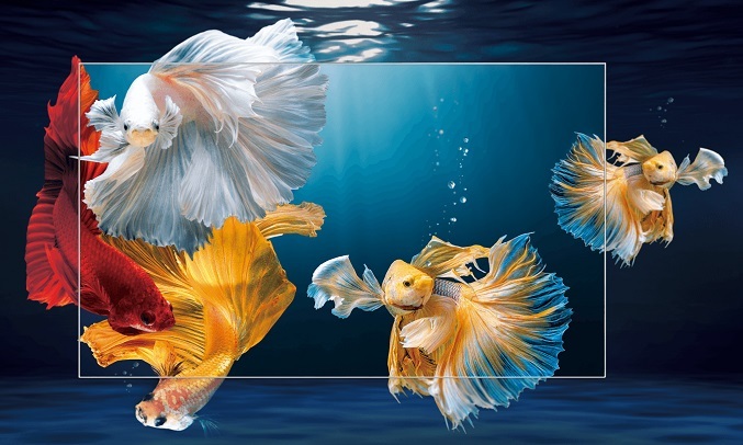 Android Tivi TCL 4K 50 inch 50P725 - Dolby Vision