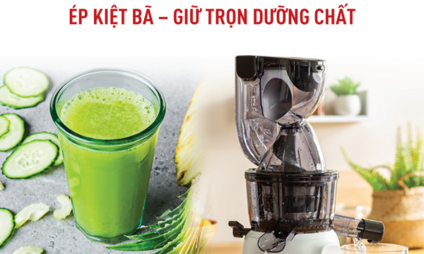 Máy xay sinh tố Tefal BL42Q166