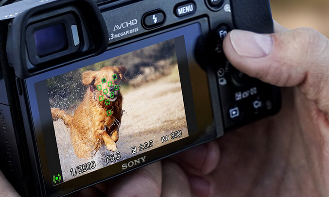 Máy ảnh chuyên nghiệp Sony Alpha 6000 chụp ảnh chất lượng