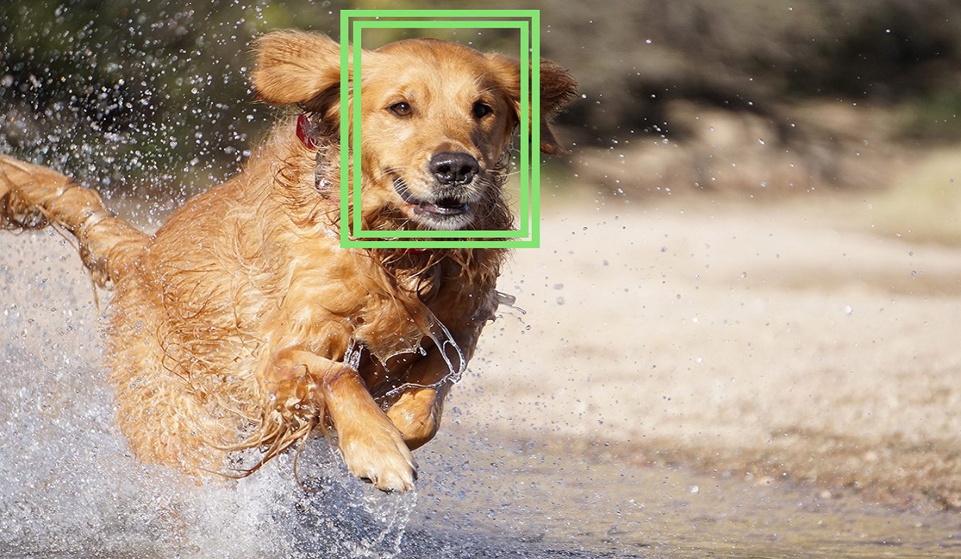 Máy ảnh Sony Alpha 6000 ILCE-6000L/BAP2 - Lấy nét tự động nhạy, ghi lại mọi khoảnh khắc hoàn hảo