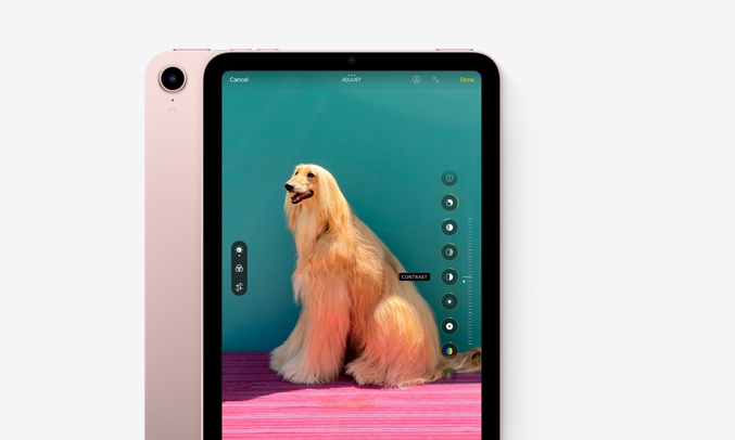 iPad Mini 6 Wifi Cellular 256GB 8.3 inch Hồng (2021) -