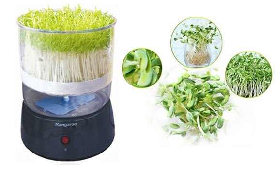 M&aacute;y l&agrave;m rau mầm Kangaroo KG-261 đảm bảo dinh dưỡng