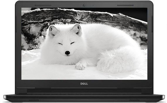 M&agrave;n h&igrave;nh laptop Dell Inspiron 15 N3558F P47F001 cho h&igrave;nh ảnh sắc n&eacute;t
