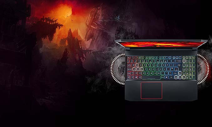 Acer Nitro 5 i5-10300H 15.6 inch AN515-55-58A7