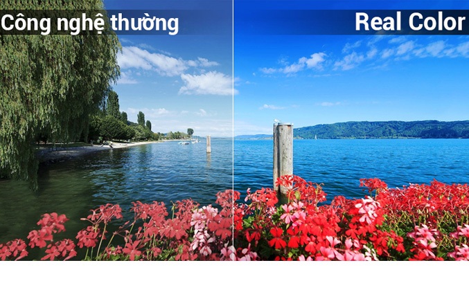 Tivi Sharp 40 inch LC-40SA5500X