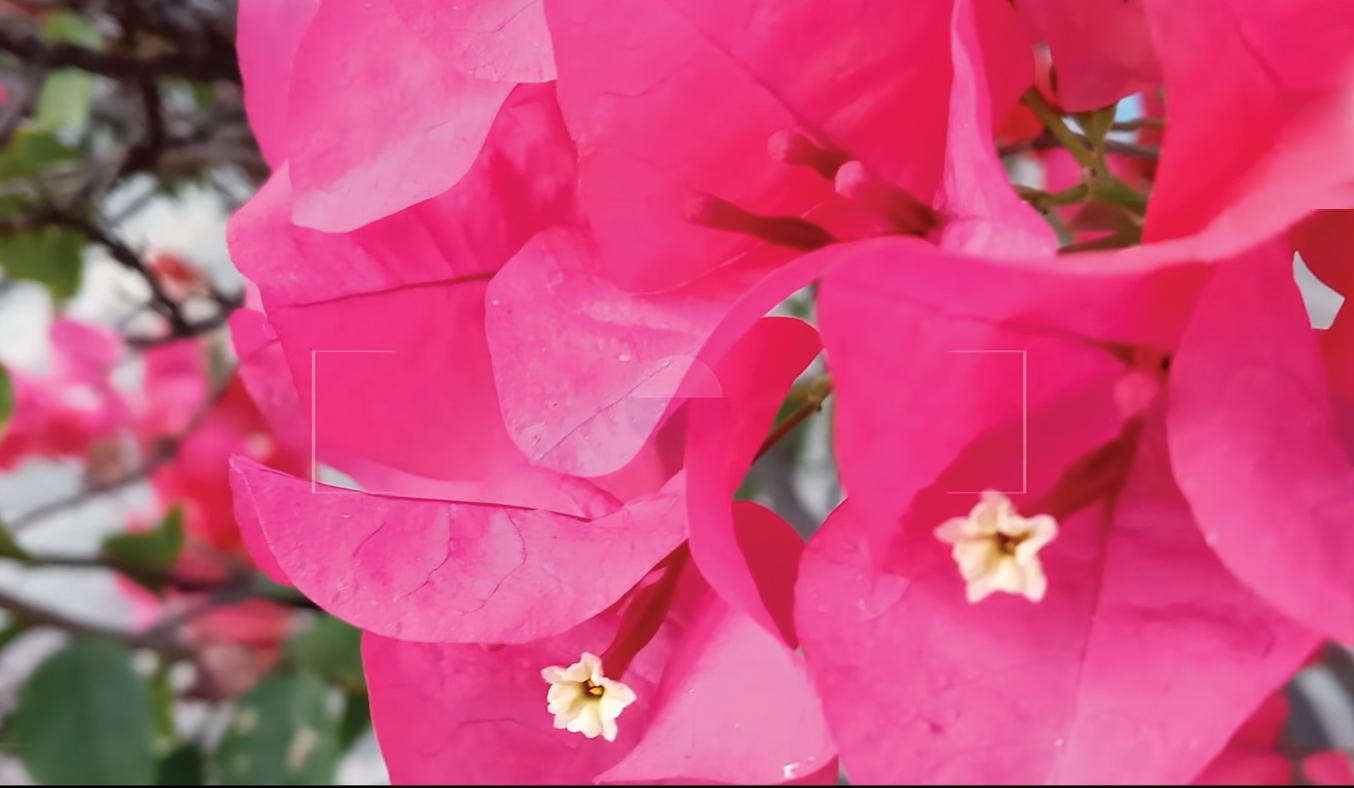 Samsung Galaxy A10s Đỏ