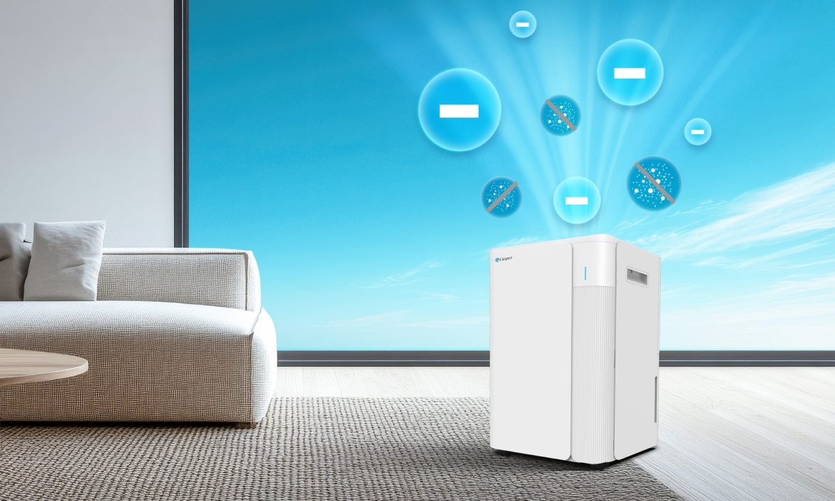 Máy hút ẩm Casper 20 lít DE-20L1