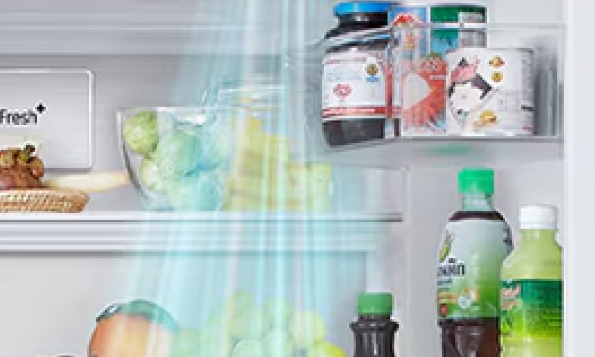 Tủ lạnh LG Inverter 502 lít F50BG