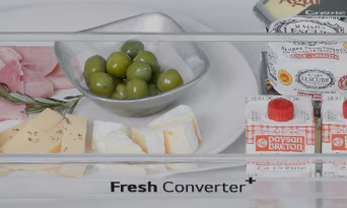 Tủ lạnh LG Inverter 502 lít F50BG