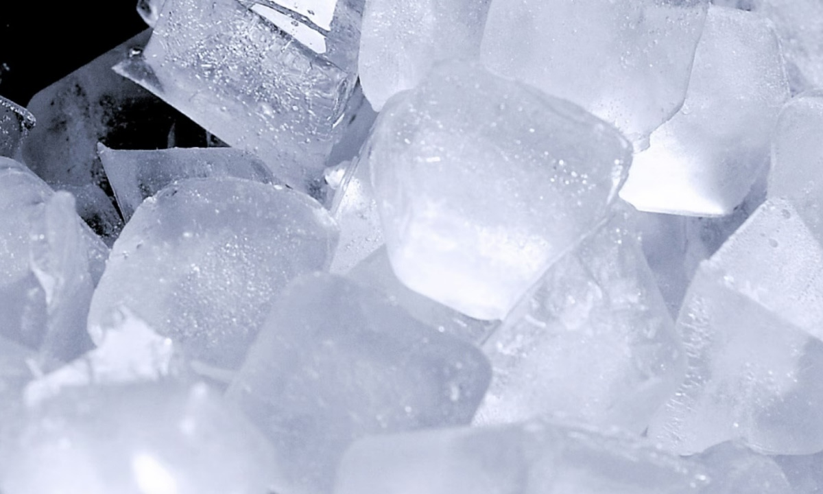 Tủ lạnh LG Inverter 400 lít F40BG