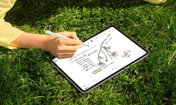 Máy tính bảng OPPO Pad 5 Wifi 8GB/256GB Hồng (OPD2502)