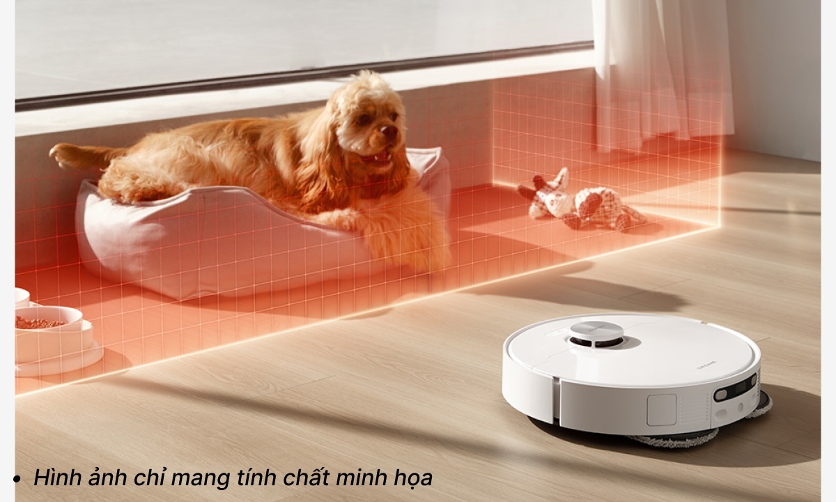 Bản đồ 3D & định hướng thông minh