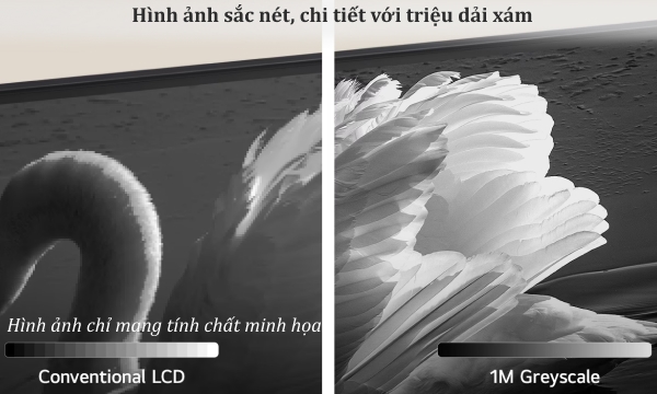 Smart Tivi QNED LG 4K 75 inch 75QNED91TSA