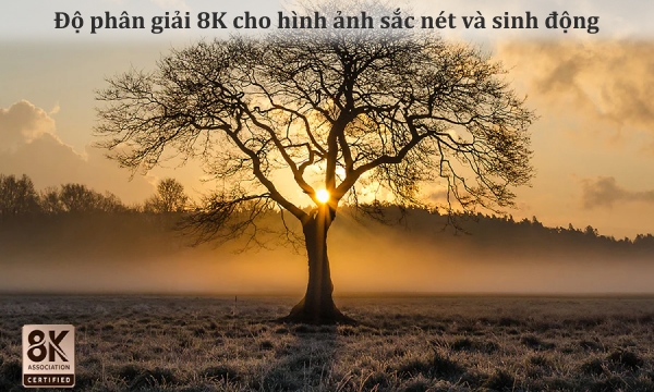 Smart Tivi Neo QLED 8K 75 inch Samsung QA75QN900BKXXV