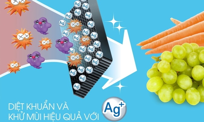 Máy lạnh Toshiba RAS-H10PKCVG-V 1 HP không khí mát lạnh khắp căn phòng