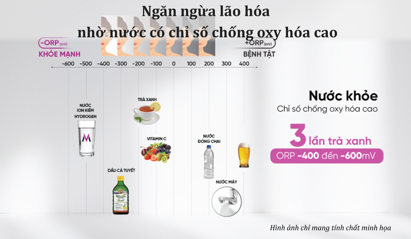 Máy lọc nước RO nóng nguội lạnh Hydrogen ion kiềm Mutosi 10 lõi MP-S1021H