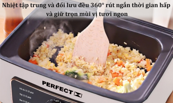 Nồi lẩu hấp đa năng Perfect PF-LH12