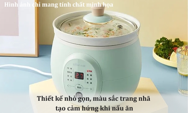 Nồi nấu chậm Bear DDG-D20P1