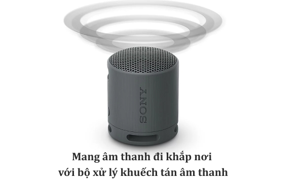 Loa Bluetooth Sony SRS-XB100 