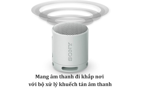 Loa Bluetooth Sony SRS-XB100 Xám