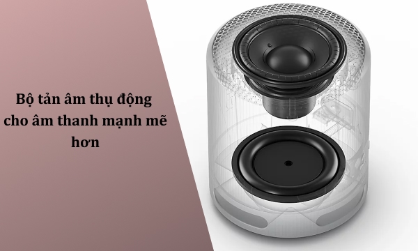 Loa Bluetooth Sony SRS-XB100 Xám