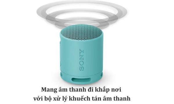 Loa Bluetooth Sony SRS-XB100 