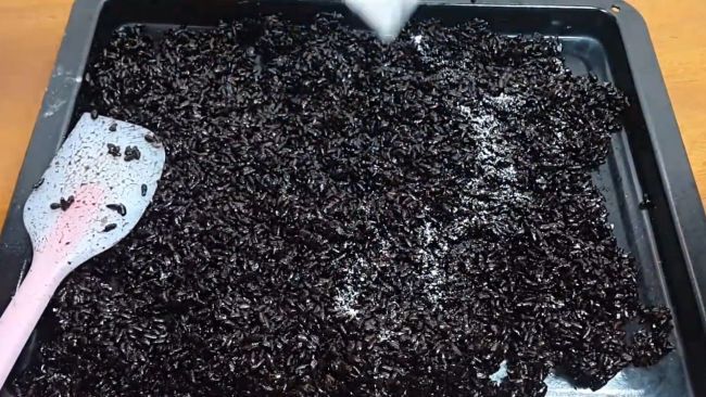 úc ra khay dàn đều để bớt nóng. Sau Sau khi nếp nguội hẳn bạn trộn đều với men rượu