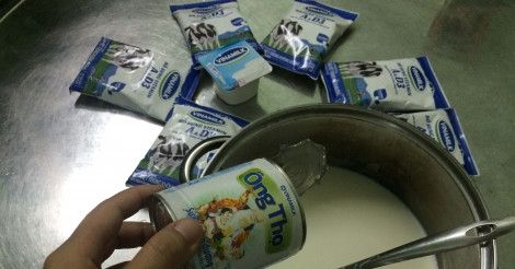 Cho sữa đặc và sữa tươi nào nồi