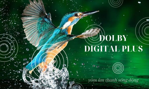 Android Tivi Casper 4K 55 inch 55UG6100 - Dolby Digital Plus - m thanh vòm bùng nổ và sống động