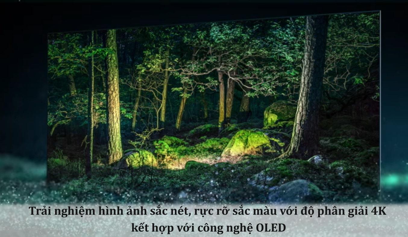 Smart Tivi OLED Samsung 4K 65 inch QA65S95BAKXXV