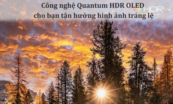 Smart Tivi OLED Samsung 4K 77 inch QA77S90CAKXXV