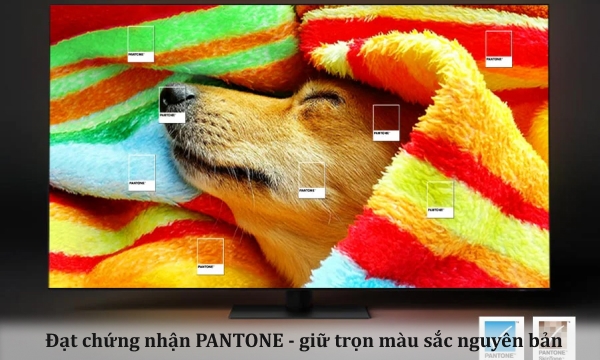 Smart Tivi Neo QLED Samsung 8K 85 inch QA85QN900CKXXV